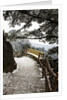 Evening Light on Hiking trail in the Yellow Mountains by Anonymous