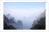 Evening Light on The Yellow Mountains by Anonymous