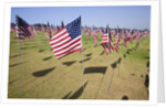 US Flags for 9/11 Memorial by Anonymous
