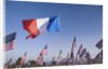US and French Flag by Anonymous