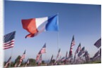US and French Flag by Anonymous