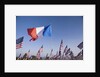 US and French Flag by Anonymous