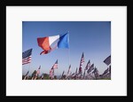 US and French Flag by Anonymous