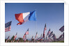 US and French Flag by Anonymous