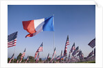 US and French Flag by Anonymous