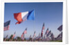 US and French Flag by Anonymous