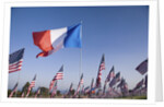 US and French Flag by Anonymous