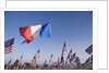 US and French Flag by Anonymous