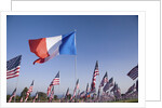 US and French Flag by Anonymous