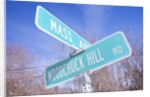 Mass Avenue Road Sign by Anonymous
