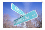 Mass Avenue Road Sign by Anonymous