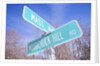 Mass Avenue Road Sign by Anonymous