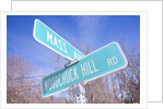 Mass Avenue Road Sign by Anonymous