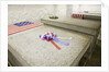 John Adams and John Quincy Adams Burial Tomb by Anonymous