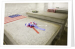 John Adams and John Quincy Adams Burial Tomb by Anonymous