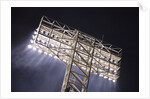 Night Lights, Fenway Park, Boston, MA by Anonymous