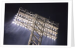 Night Lights, Fenway Park, Boston, MA by Anonymous