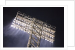 Night Lights, Fenway Park, Boston, MA by Anonymous