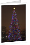 Capitol Christmas Tree at dusk in front of U.S. Capitol, Washington D.C. by Anonymous