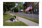 US Flag on Memorial Day, Concord, MA by Anonymous