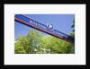 Boston Common Street Sign, Boston, MA by Anonymous