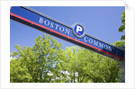 Boston Common Street Sign, Boston, MA by Anonymous