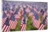 20,000 American Flags for Memorial Day, Boston Commons, Boston, MA by Anonymous