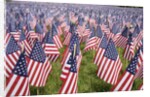 20,000 American Flags for Memorial Day, Boston Commons, Boston, MA by Anonymous
