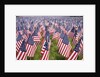 20,000 American Flags for Memorial Day, Boston Commons, Boston, MA by Anonymous