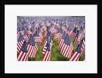 20,000 American Flags for Memorial Day, Boston Commons, Boston, MA by Anonymous