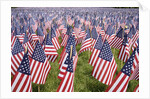20,000 American Flags for Memorial Day, Boston Commons, Boston, MA by Anonymous
