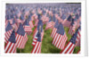 20,000 American Flags for Memorial Day, Boston Commons, Boston, MA by Anonymous