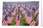 20,000 American Flags for Memorial Day, Boston Commons, Boston, MA by Anonymous