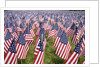 20,000 American Flags for Memorial Day, Boston Commons, Boston, MA by Anonymous
