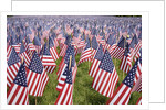 20,000 American Flags for Memorial Day, Boston Commons, Boston, MA by Anonymous