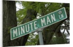 Minute Man Lane, American Revolution by Anonymous