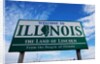 Welcome to Illinois by Anonymous