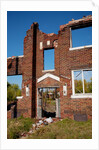 Deserted red brick apartments East St. Louis by Anonymous