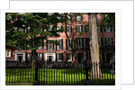 Historic homes of Beacon Hill, Boston, MA by Anonymous