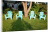 Turquois lawn chairs and green grass at sunset by Anonymous