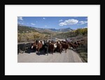 Cattledrive looking towards Chimney Peak, near Ridgeway, Colorado by Anonymous