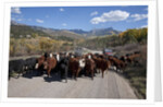 Cattledrive looking towards Chimney Peak, near Ridgeway, Colorado by Anonymous