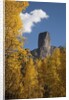 Chimney Peak and Courthouse Mountains in the Uncompahgre National Forest, Colorado by Anonymous