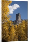Chimney Peak and Courthouse Mountains in the Uncompahgre National Forest, Colorado by Anonymous