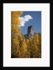 Chimney Peak and Courthouse Mountains in the Uncompahgre National Forest, Colorado by Anonymous
