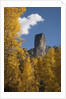 Chimney Peak and Courthouse Mountains in the Uncompahgre National Forest, Colorado by Anonymous