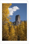 Chimney Peak and Courthouse Mountains in the Uncompahgre National Forest, Colorado by Anonymous