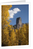 Chimney Peak and Courthouse Mountains in the Uncompahgre National Forest, Colorado by Anonymous