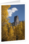 Chimney Peak and Courthouse Mountains in the Uncompahgre National Forest, Colorado by Anonymous