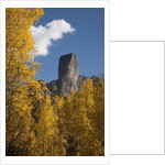 Chimney Peak and Courthouse Mountains in the Uncompahgre National Forest, Colorado by Anonymous